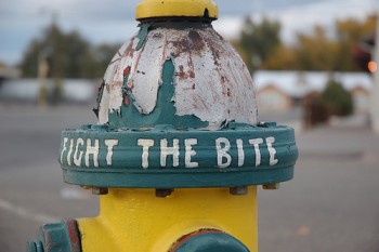 'Fight the Bite' by Zelda Go Wild @ flickr